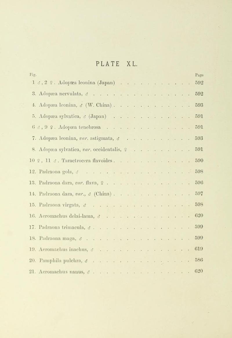 Leech China Plate XL Text