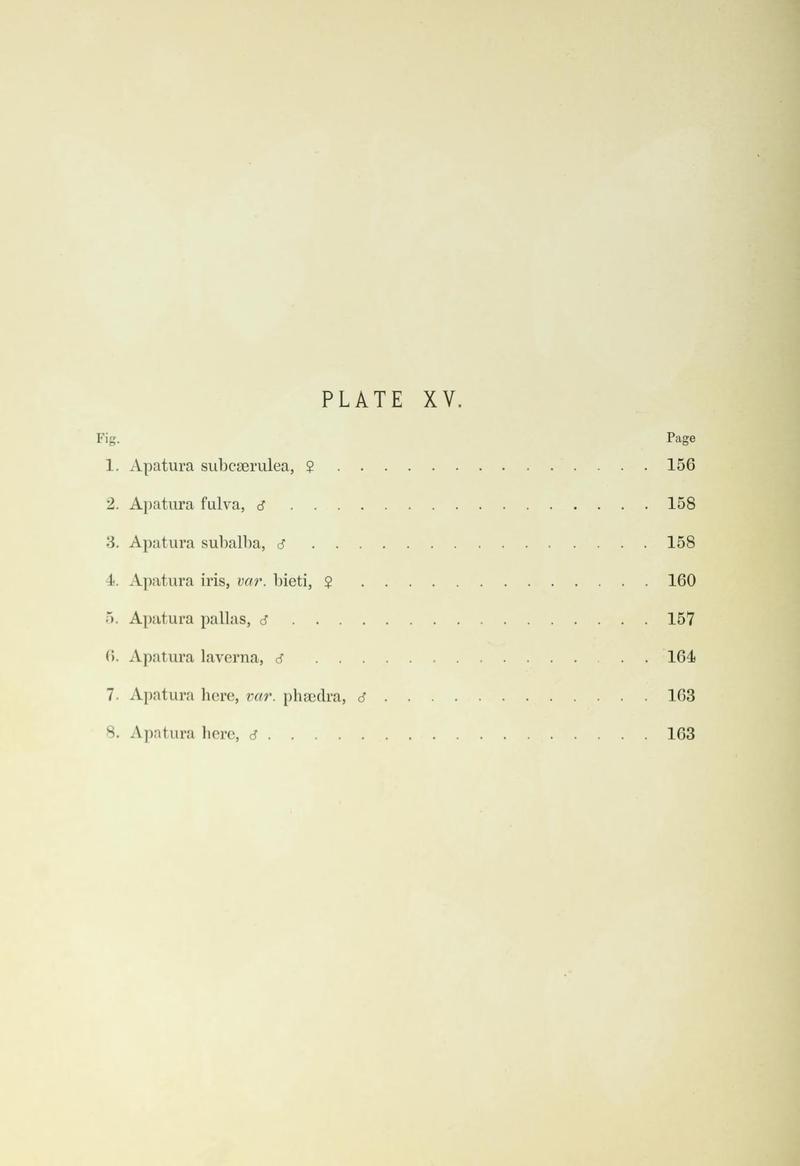Leech China Plate XV Text
