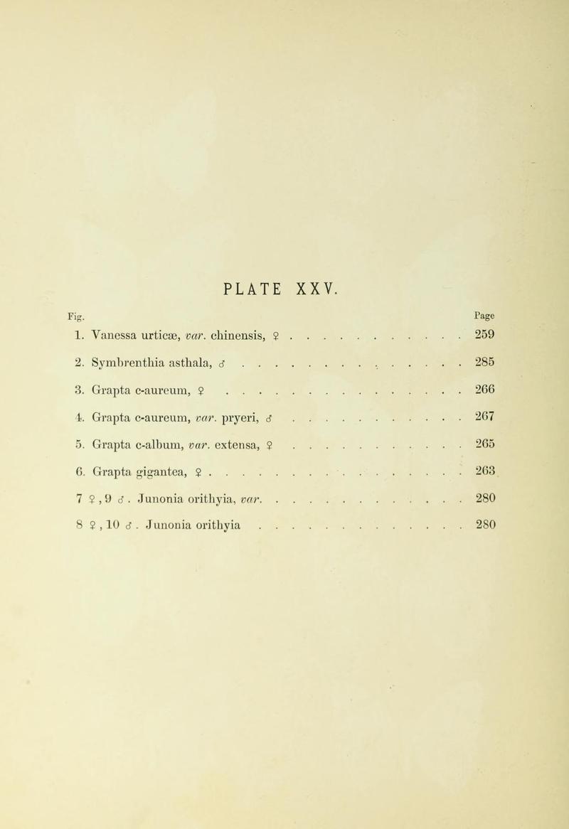 Leech China Plate XXV Text