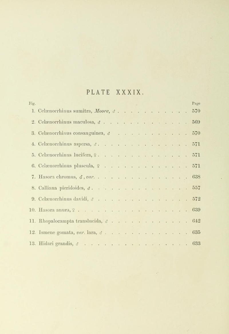 Leech China Plate XXXIX Text