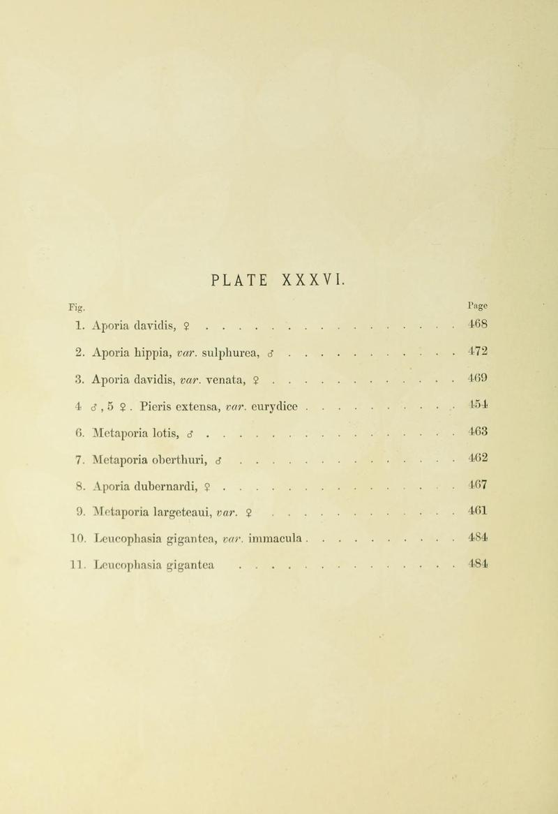 Leech China Plate XXXVI Text