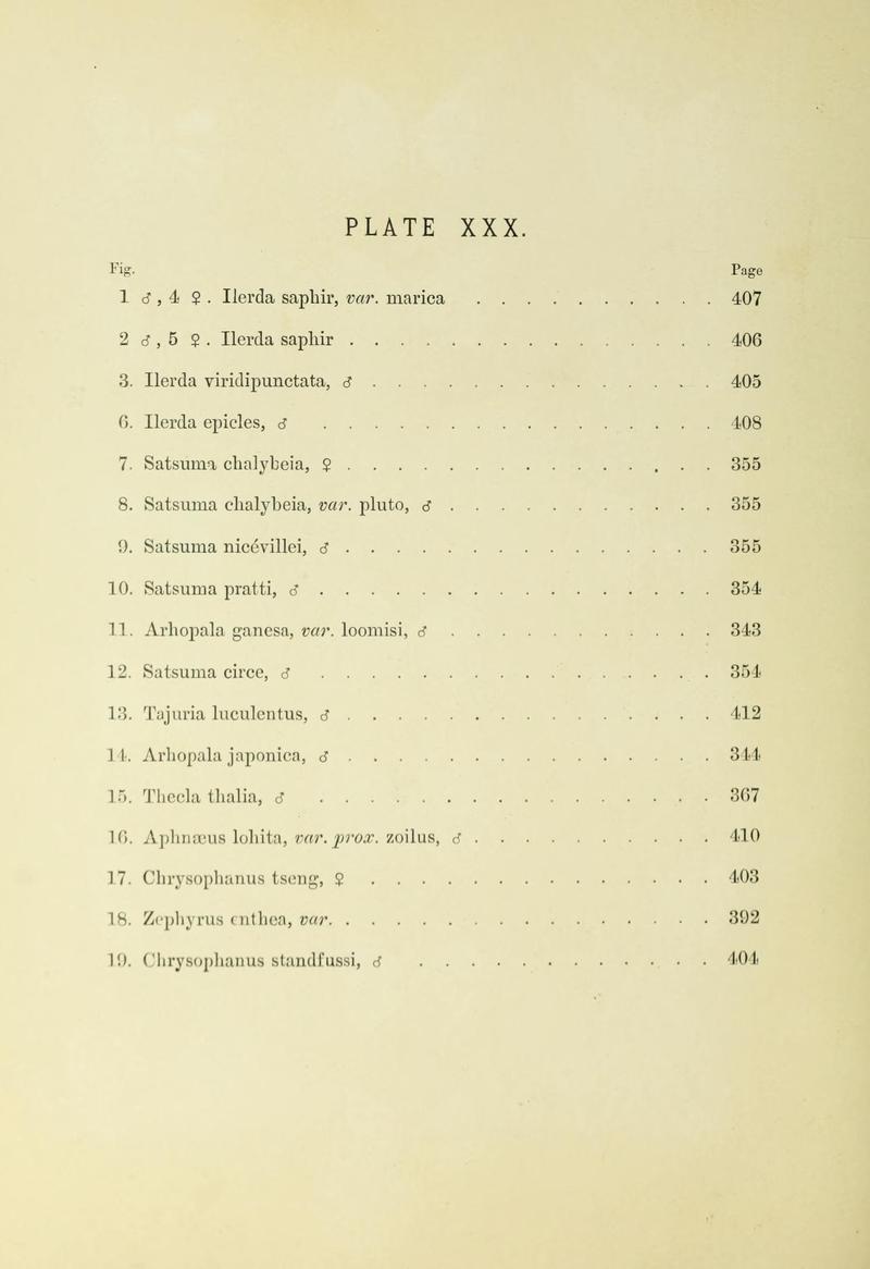 Leech China Plate XXX Text