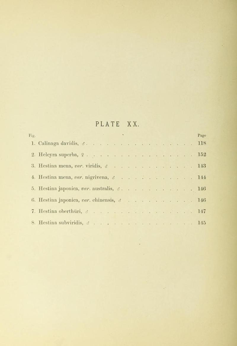 Leech China Plate XX Text