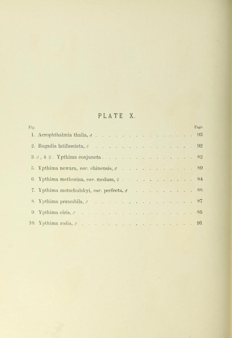 Leech China Plate X Text