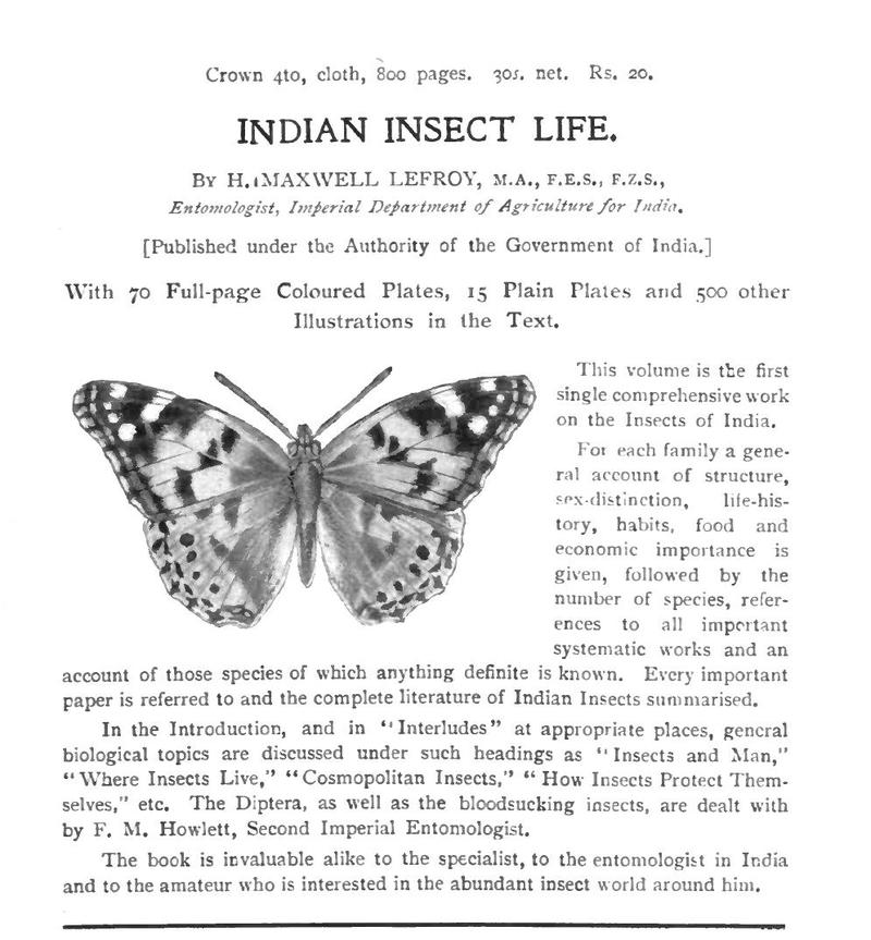 advert for Indian Insect Life by Maxwell Lefroy