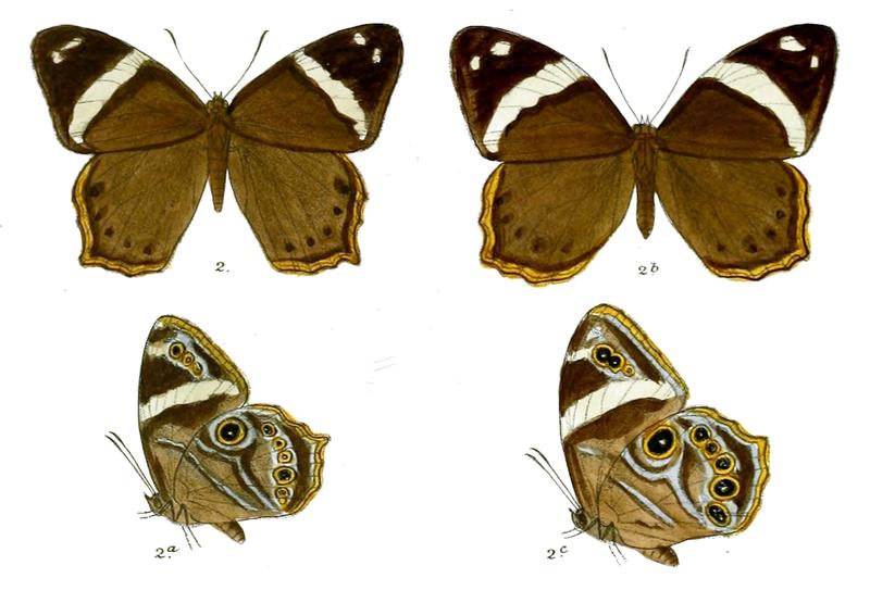 LetheRohria 84 2