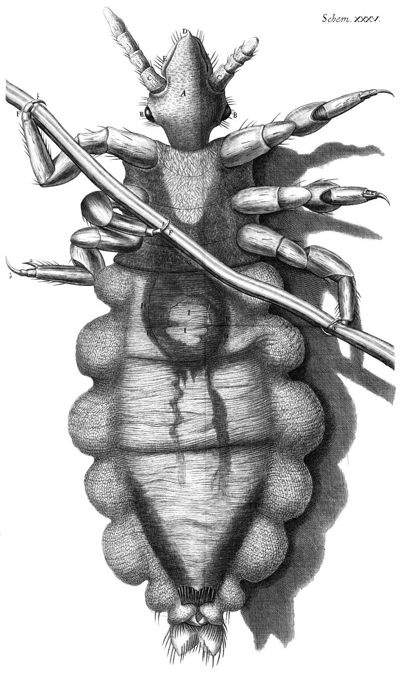 MICROGRAPHIA or some physiological descriptions of minute bodies made by magnifying glasses with observations and inquiries thereupon.