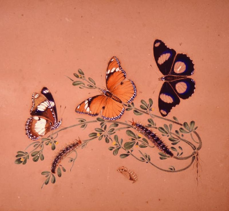 Mary Elizabeth Barber04