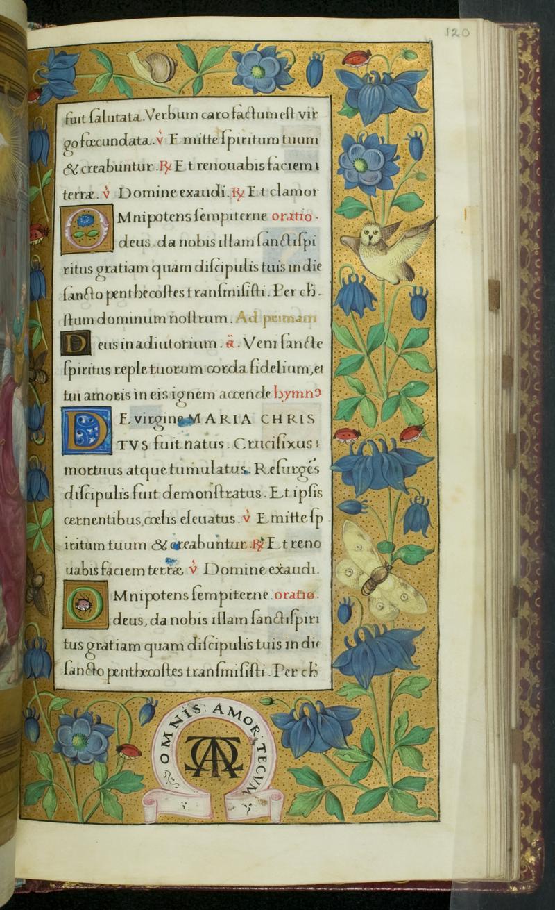 Leaf from Book of Hours