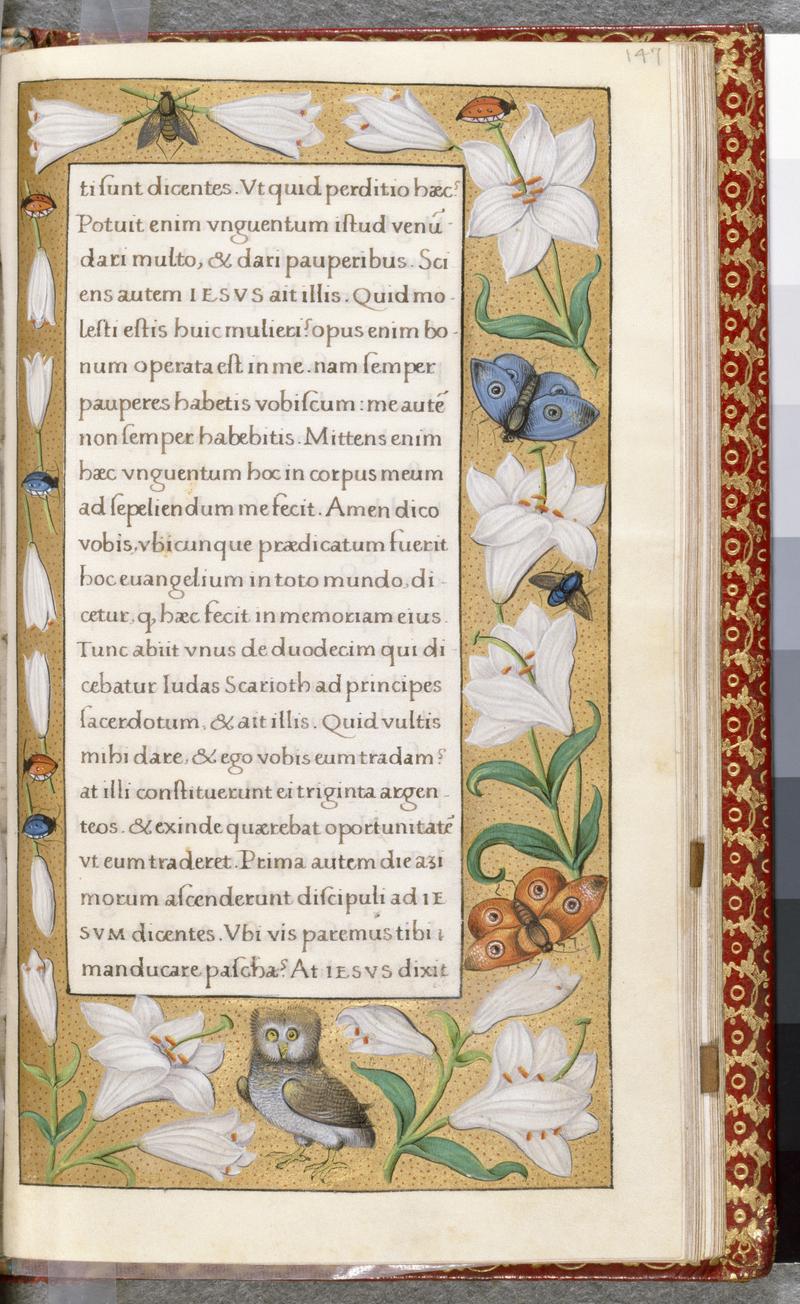Leaf from Book of Hours