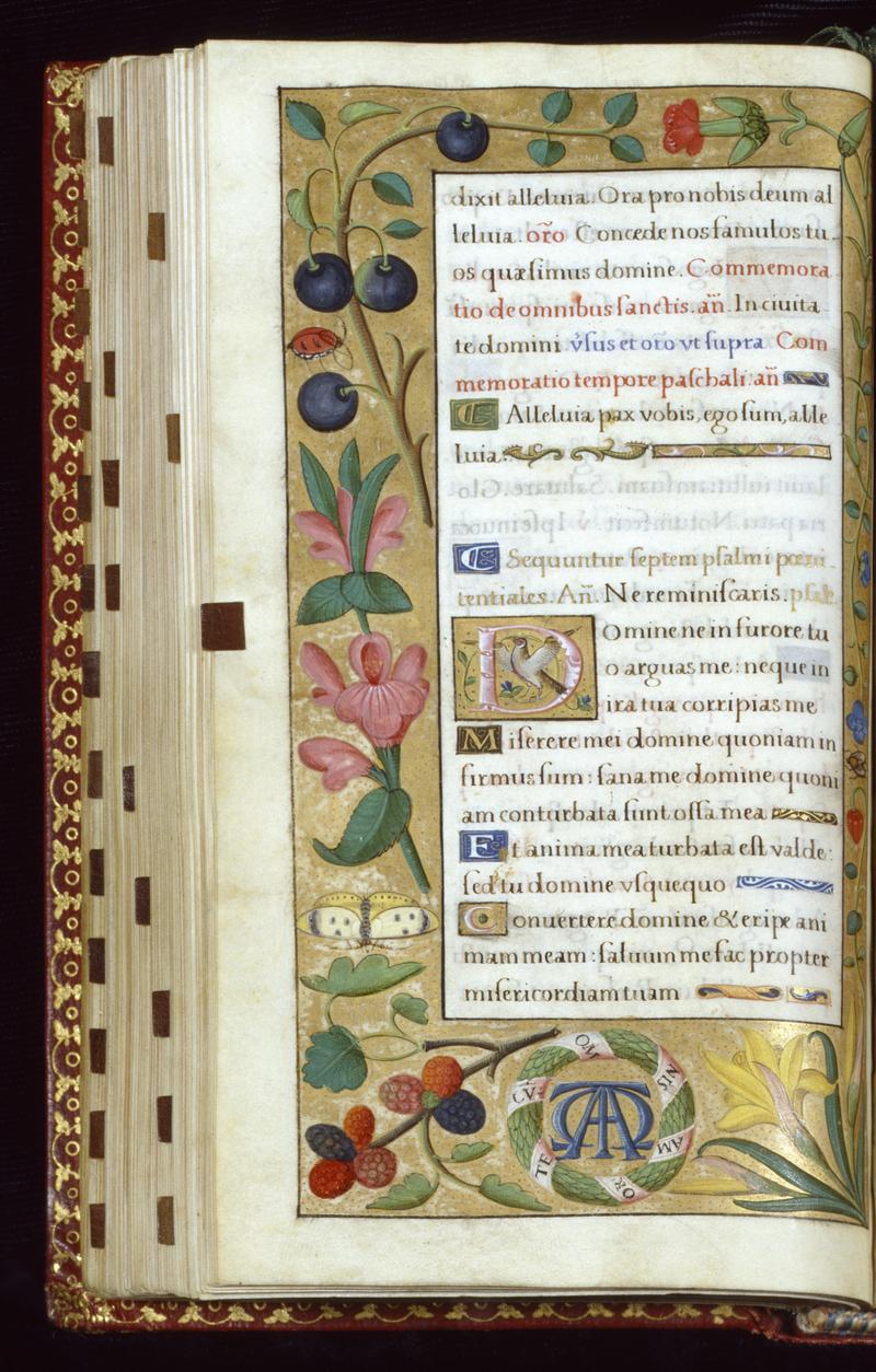 Leaf from Book of Hours