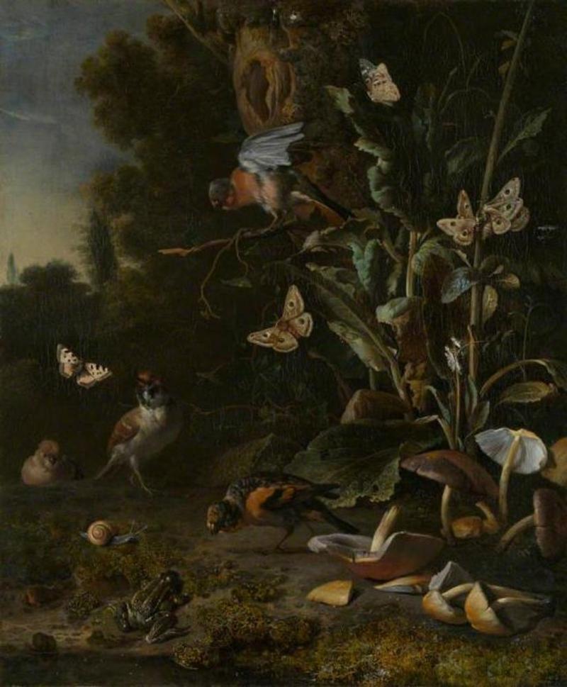 Birds, Butterflies and a Frog among Plants and Fungi title QS:P1476,en:"Birds, Butterflies and a Frog among Plants and Fungi " label QS:Len,"Birds, Butterflies and a Frog among Plants and Fungi " label QS:Lnl,"Bosstilleven met paddestoelen, vogels, vlinders en een pad"