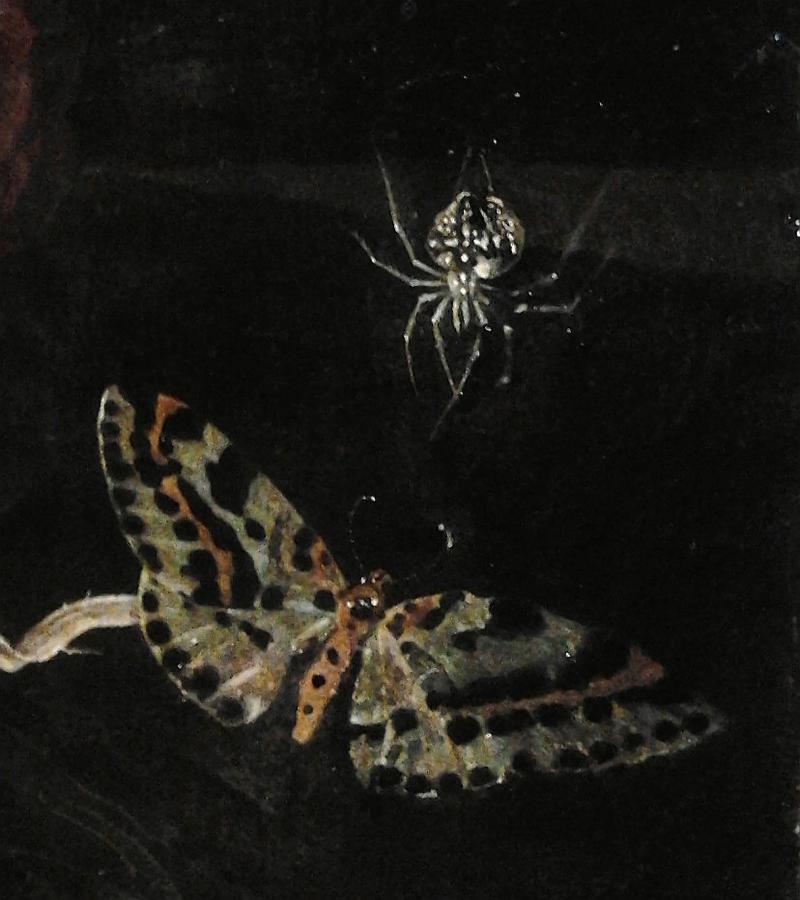 Vanitas (detail). label QS:Len,"Vanitas (detail)." label QS:Lpl,"Vanitas (fragment)." label QS:Lfr,"Vanitas (détail)."