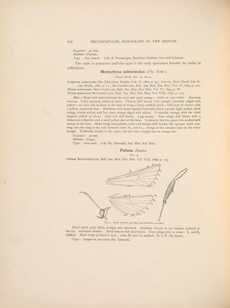 Monograph of the Sesiidæ of America, north of Mexico (Page 254) BHL38577340