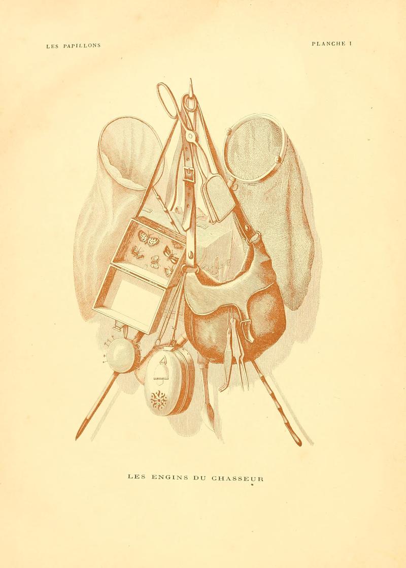 Musée entomologique illustré (8268814135)