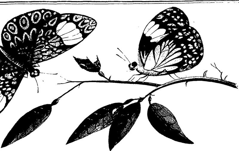 Narrative Fleuron T146566-3