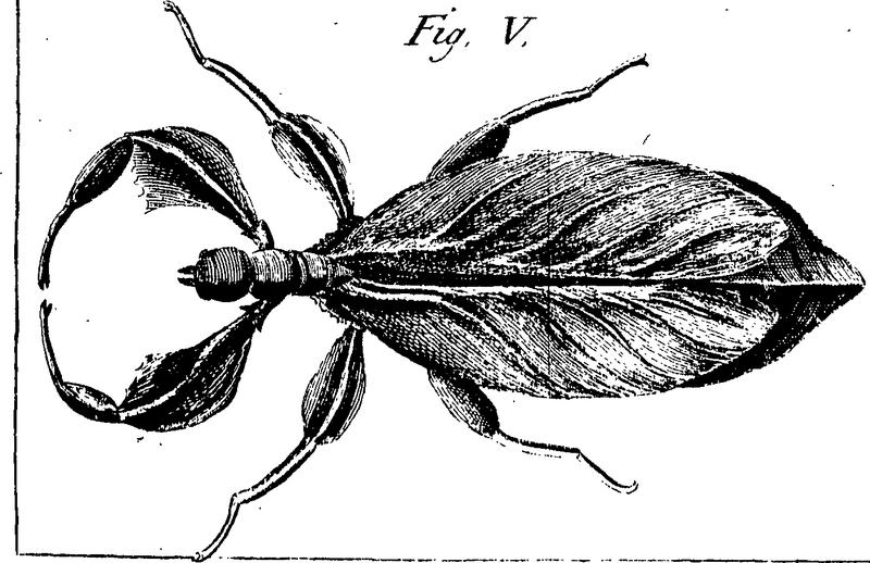 New improvements of planting and gardening, both philosophical and practical; explaining the motion of the sapp, and generation of plants Fleuron T009985-10