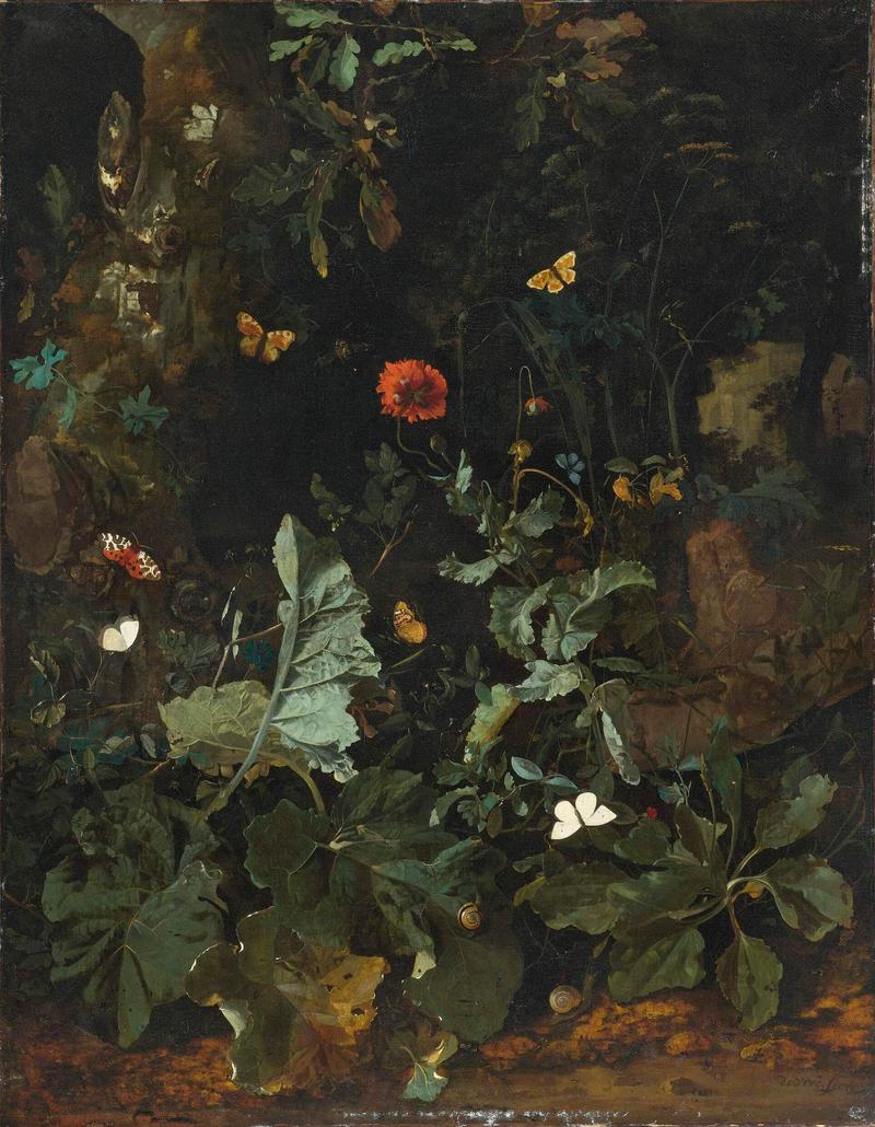 Dutch: Bosgrondstilleven met planten, bloemen en vlinders Forest floor stil life with plants, flowers and butterflies title QS:P1476,nl:"Bosgrondstilleven met planten, bloemen en vlinders " label QS:Lnl,"Bosgrondstilleven met planten, bloemen en vlinders " label QS:Len,"Forest floor stil life with plants, flowers and butterflies" label QS:Lde,"Waldbodenstillleben mit Pflanzen und Schmetterlingen"