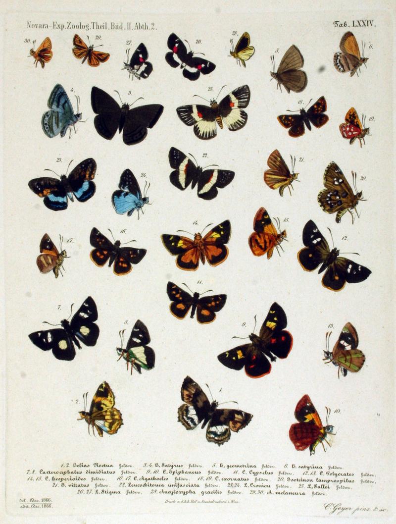 As file