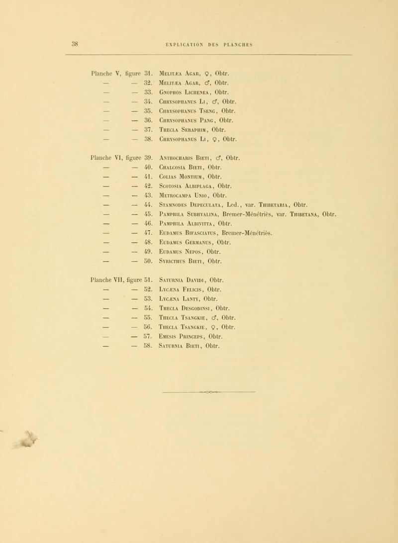 OberthurÉtudes d'entomologie1886 Plate7Text