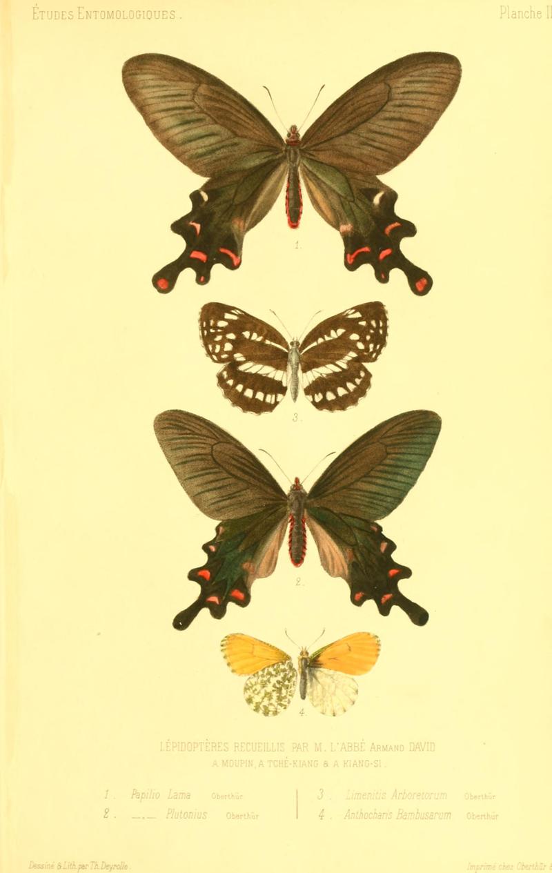 Oberthur 1876EtudEntPlate3