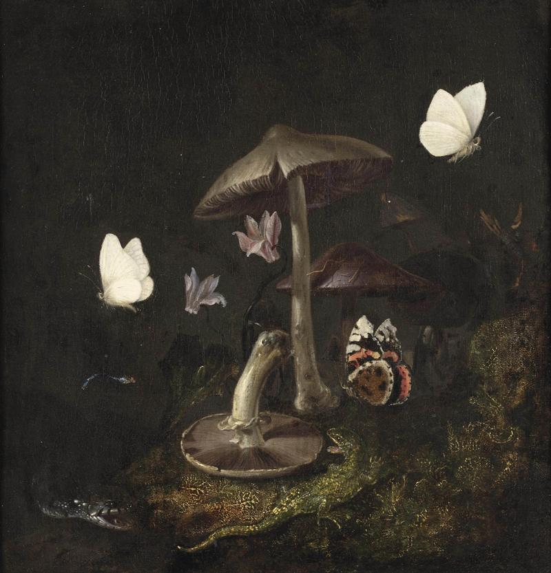 Dutch: Bosstilleven met paddestoelen, lelies en dieren A 'sotto bosco' with mushrooms, butterflies, a dragonfly, a snake and a lizard title QS:P1476,nl:"Bosstilleven met paddestoelen, lelies en dieren" label QS:Lnl,"Bosstilleven met paddestoelen, lelies en dieren" label QS:Len,"A 'sotto bosco' with mushrooms, butterflies, a dragonfly, a snake and a lizard"