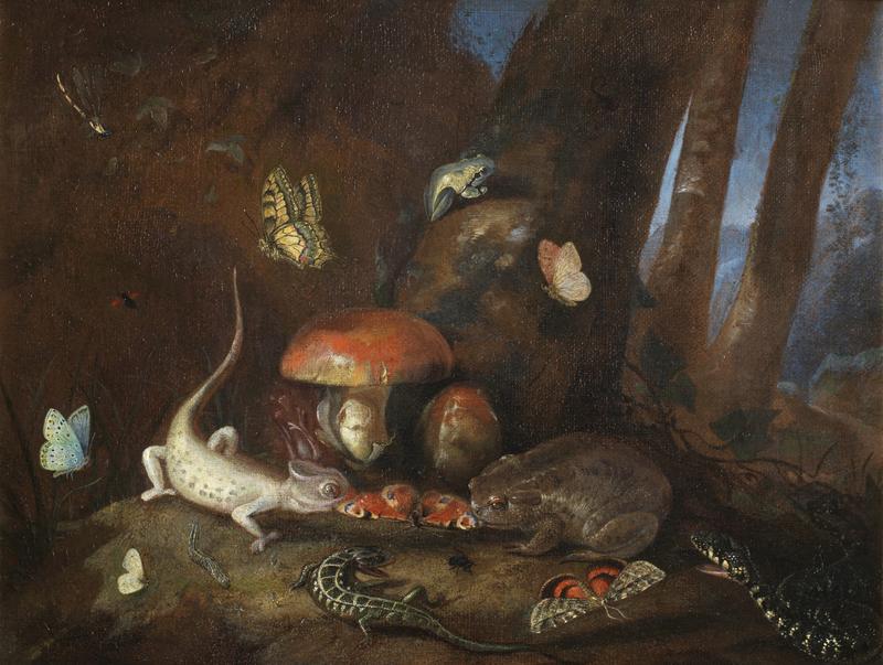 A forest floor with lizards, toads and butterflies label QS:Len,"A forest floor with lizards, toads and butterflies"