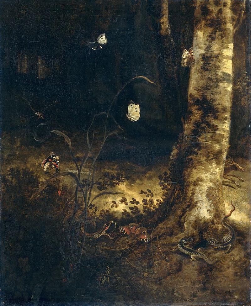 Forest Floor with a Snake, Lizards, Butterflies and other Insects label QS:Lnl,"Bosgrond met een slang, hagedissen, vlinders en andere insecten" label QS:Len,"Forest Floor with a Snake, Lizards, Butterflies and other Insects"