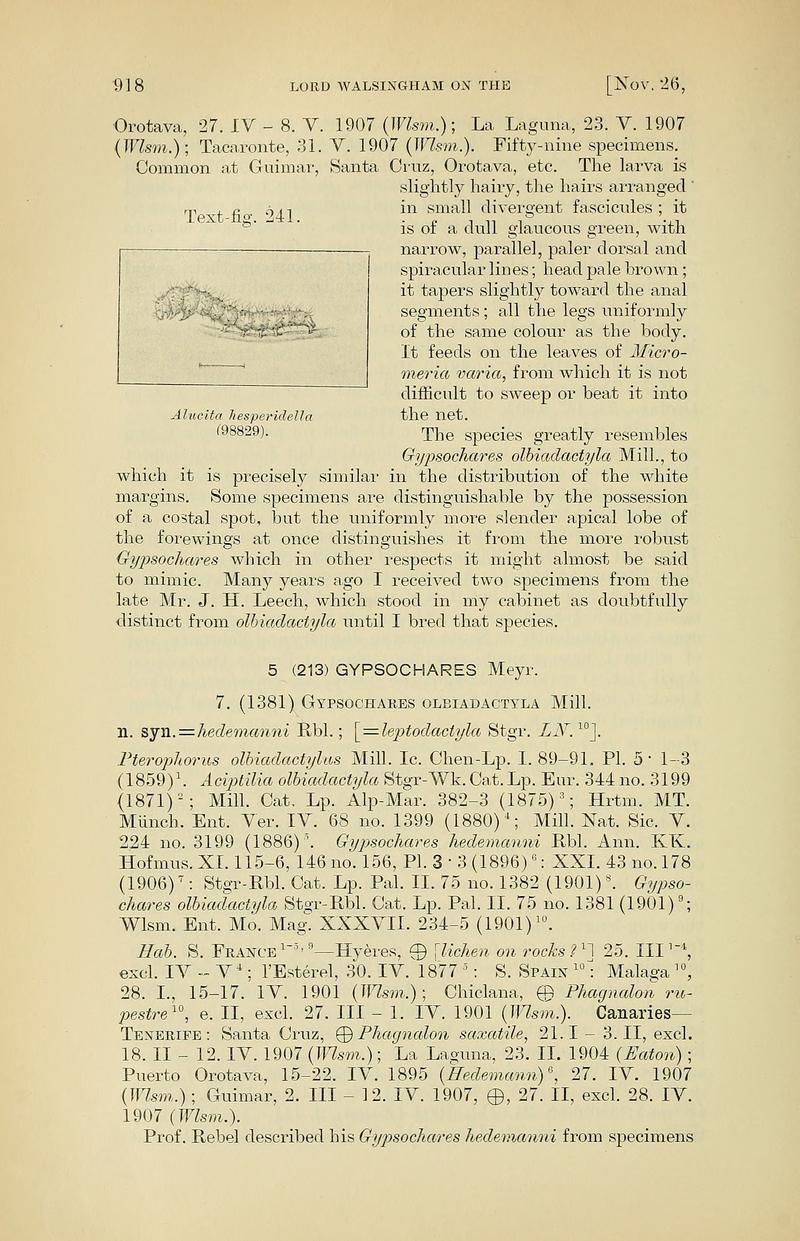 PZSL1907Page0918