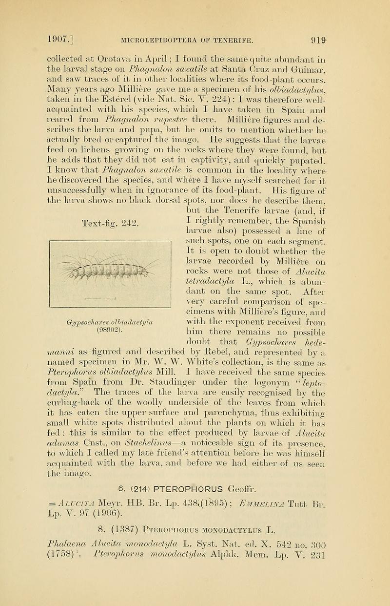 PZSL1907Page0919