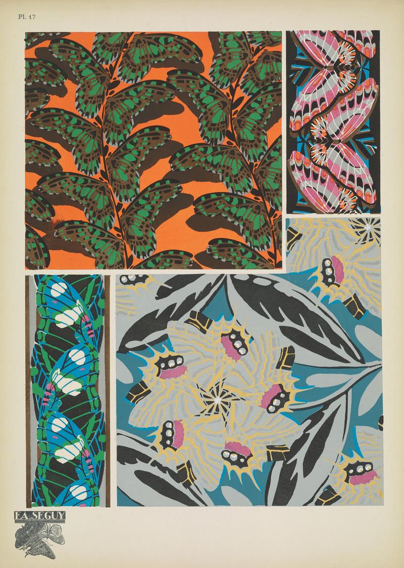 Papillons (Pl. 17) BHL48852959