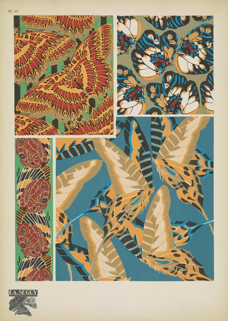 Papillons (Pl. 19) BHL48852955