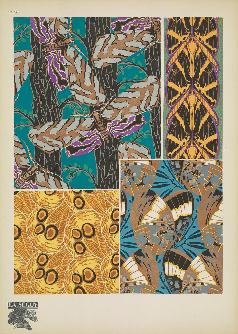 Papillons (Pl. 20) BHL48852953