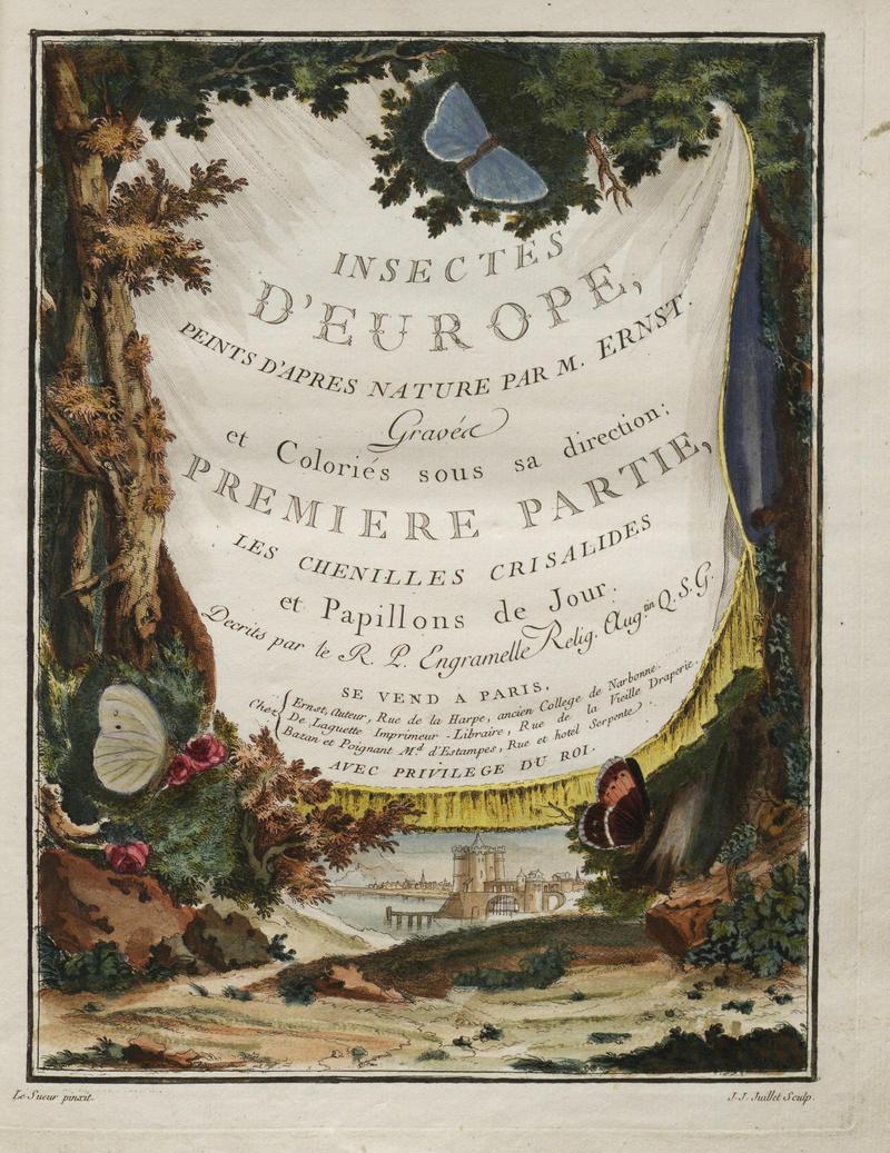 Papillons d'Europe, peints d'après nature.Frontis