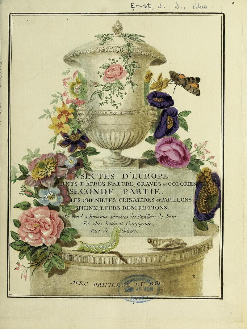 Papillons d'Europe, peints d'après nature.Parte 2 Frontis