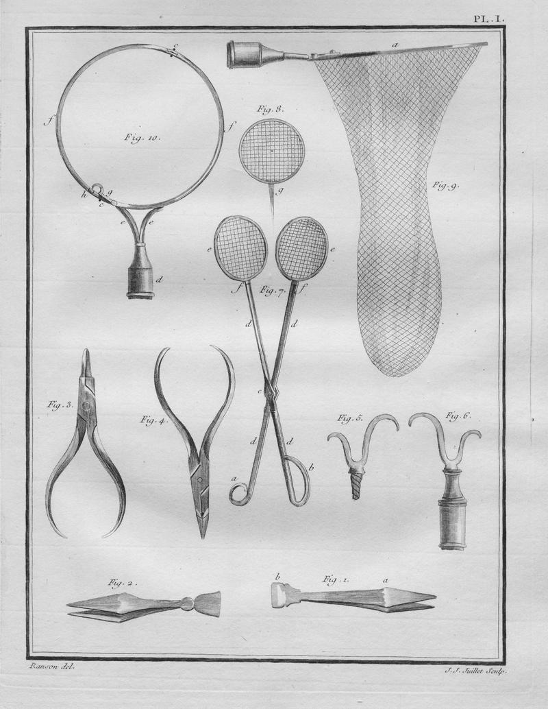 Papillons d'Europe, peints d'après nature.Plate1