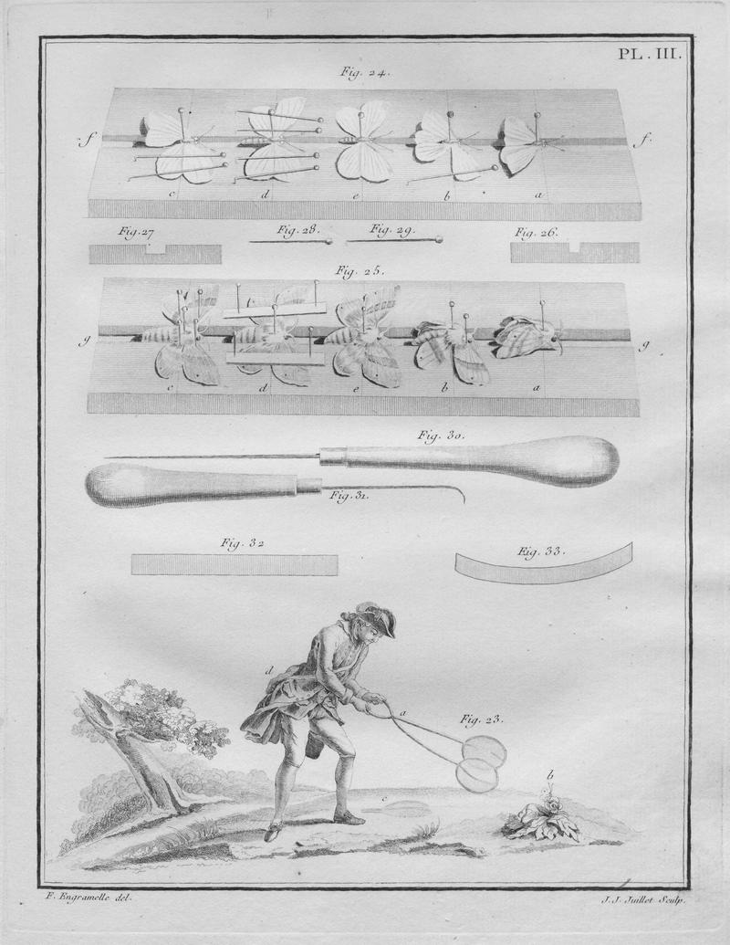 Papillons d'Europe, peints d'après nature.Plate3