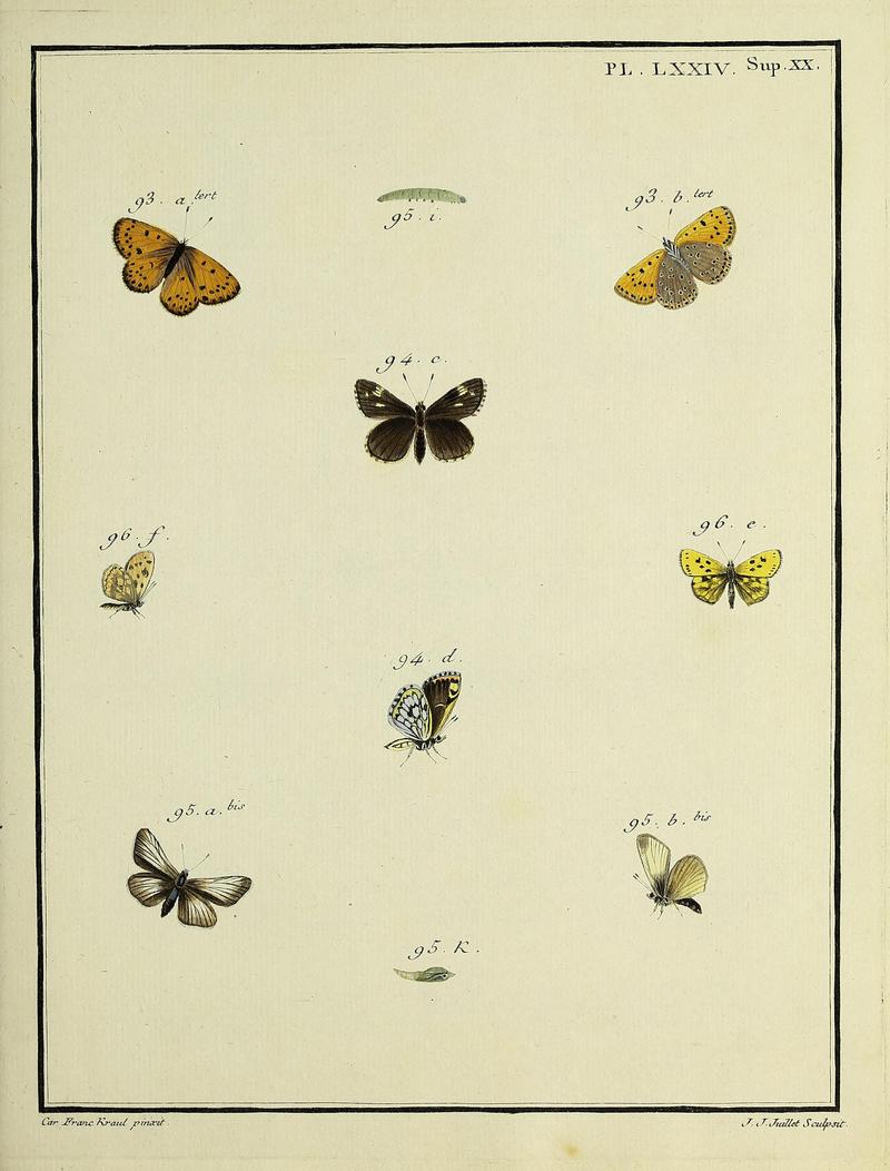 Papillons d'Europe, peints d'après nature.PlateLXXIVSupplementXX