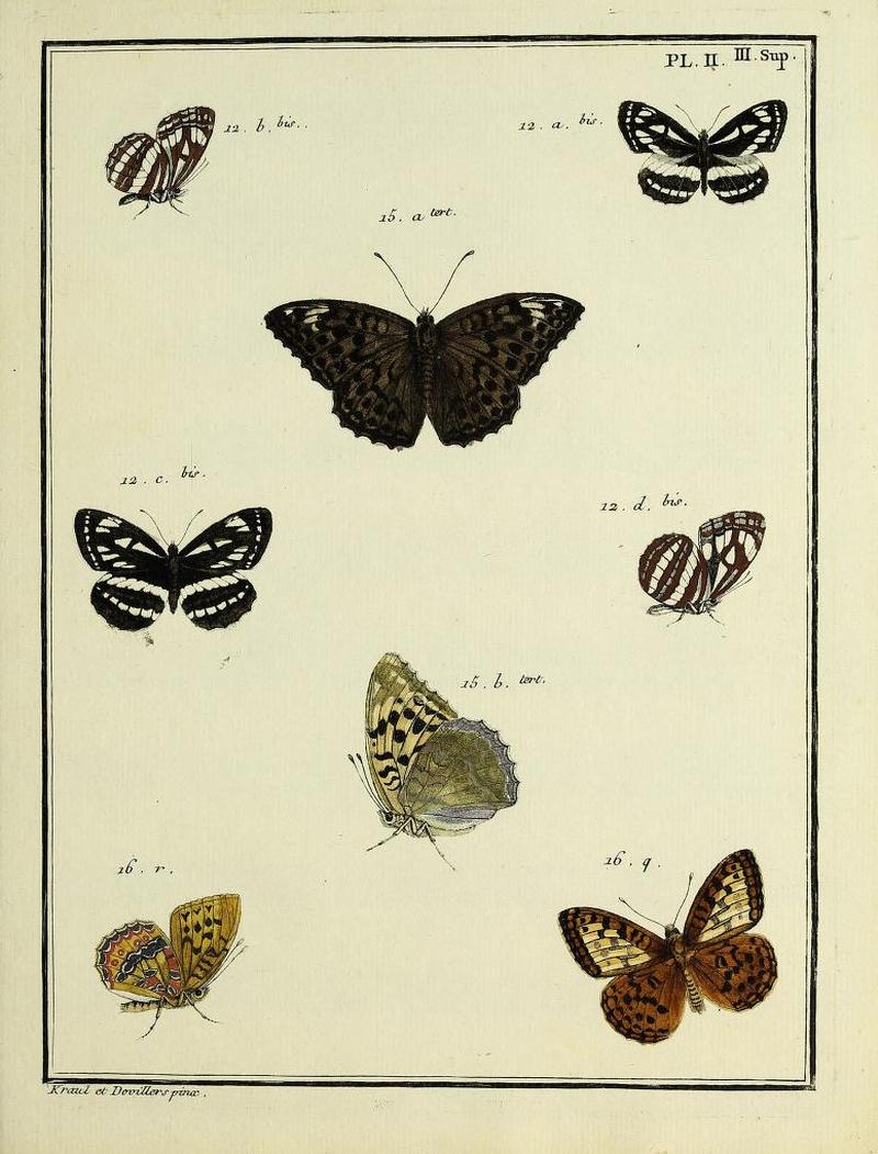 Papillons d'Europe, peints d'après nature.Plate II Supplement III