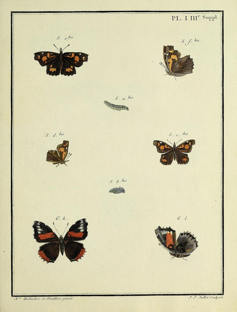 Papillons d'Europe, peints d'après nature.Plate I ISupplement III