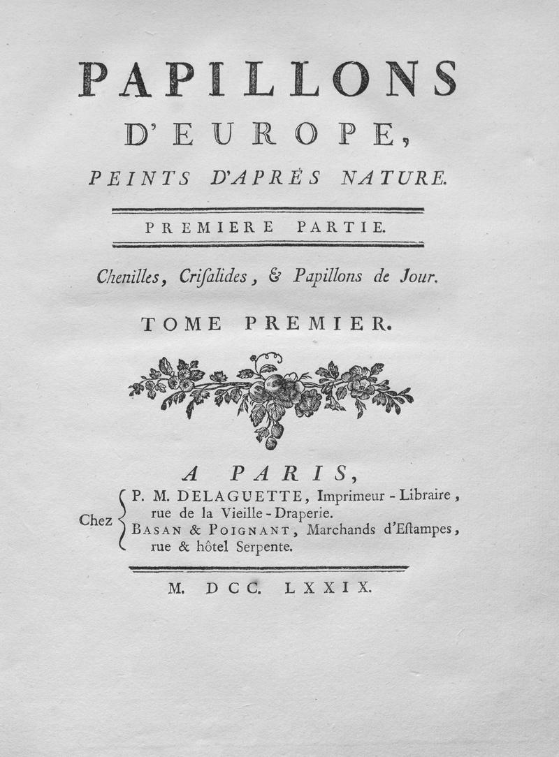 Papillons d'Europe, peints d'après nature
