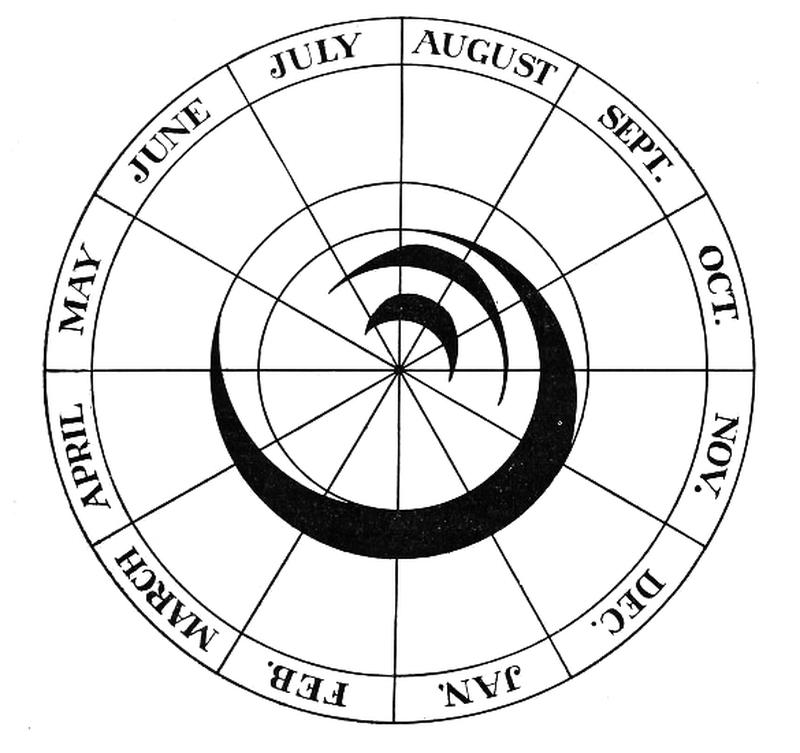 Phylloxera calendar