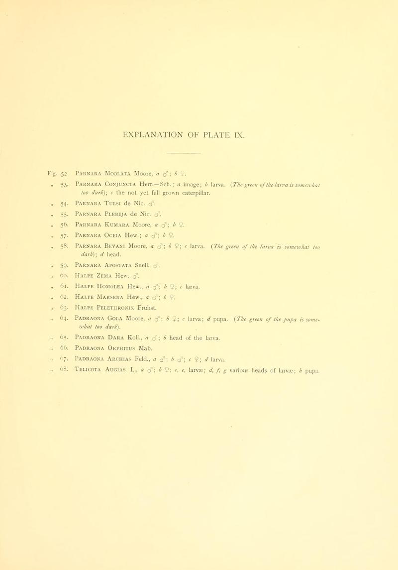 Piepers and Snellen Rhopalocera of Java Plate IX Text