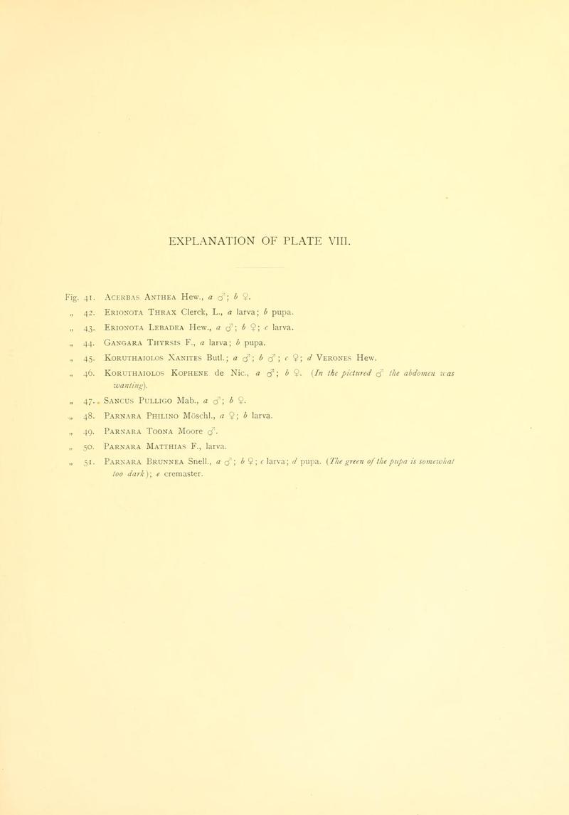 Piepers and Snellen Rhopalocera of Java Plate VIII text