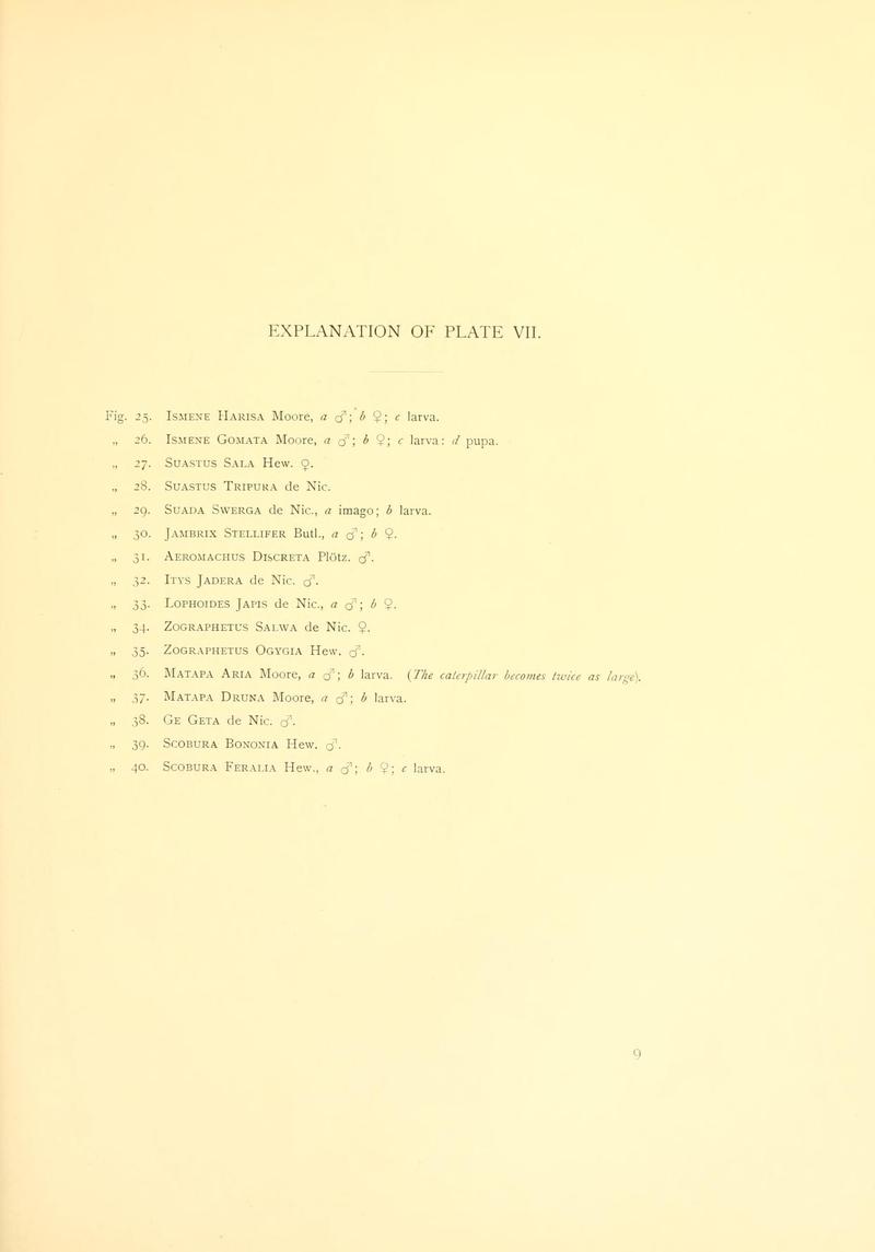 Piepers and Snellen Rhopalocera of Java Plate VII Text