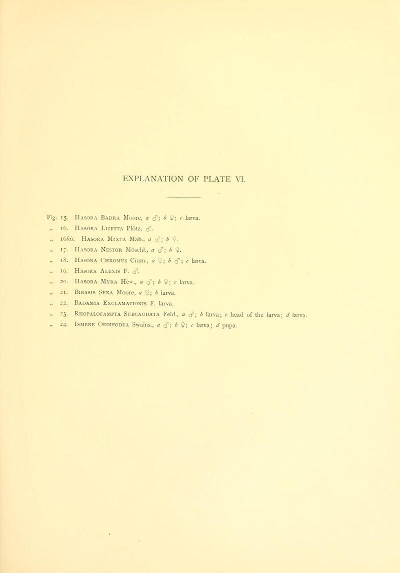 Piepers and Snellen Rhopalocera of Java Plate VI text