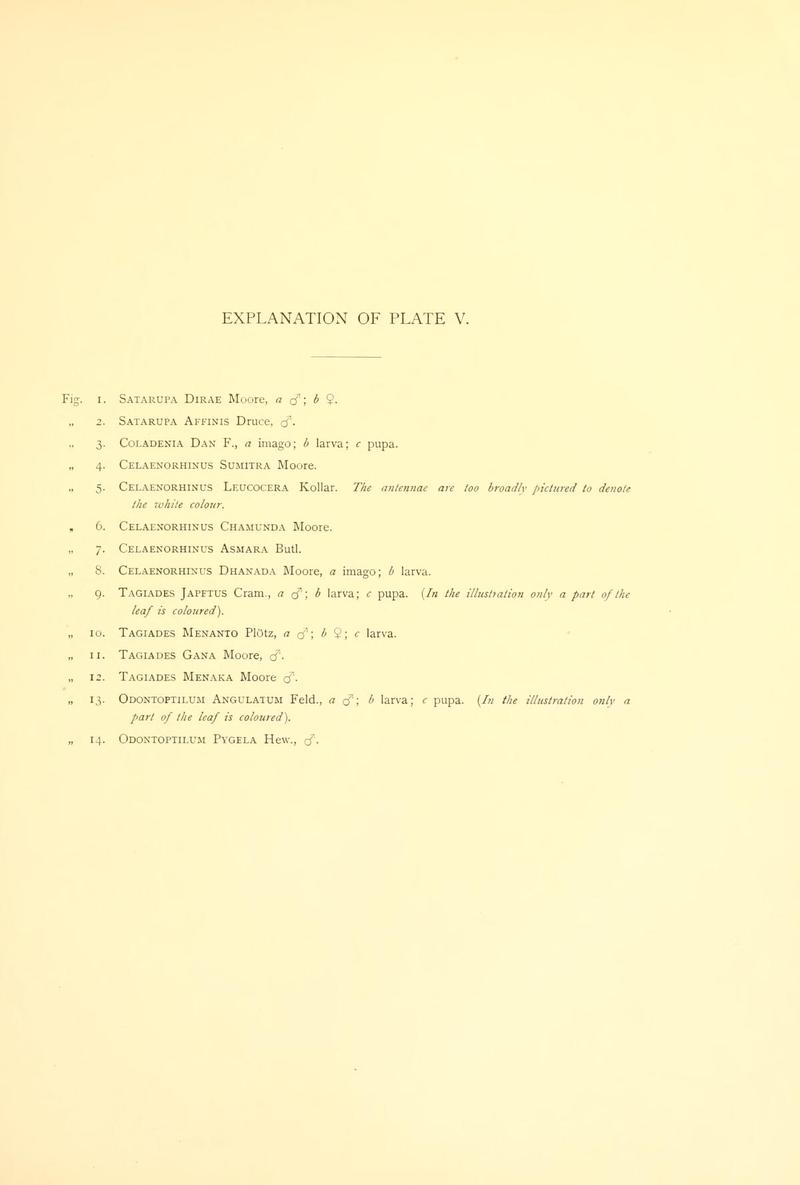 Piepers and Snellen Rhopalocera of Java Plate V Text