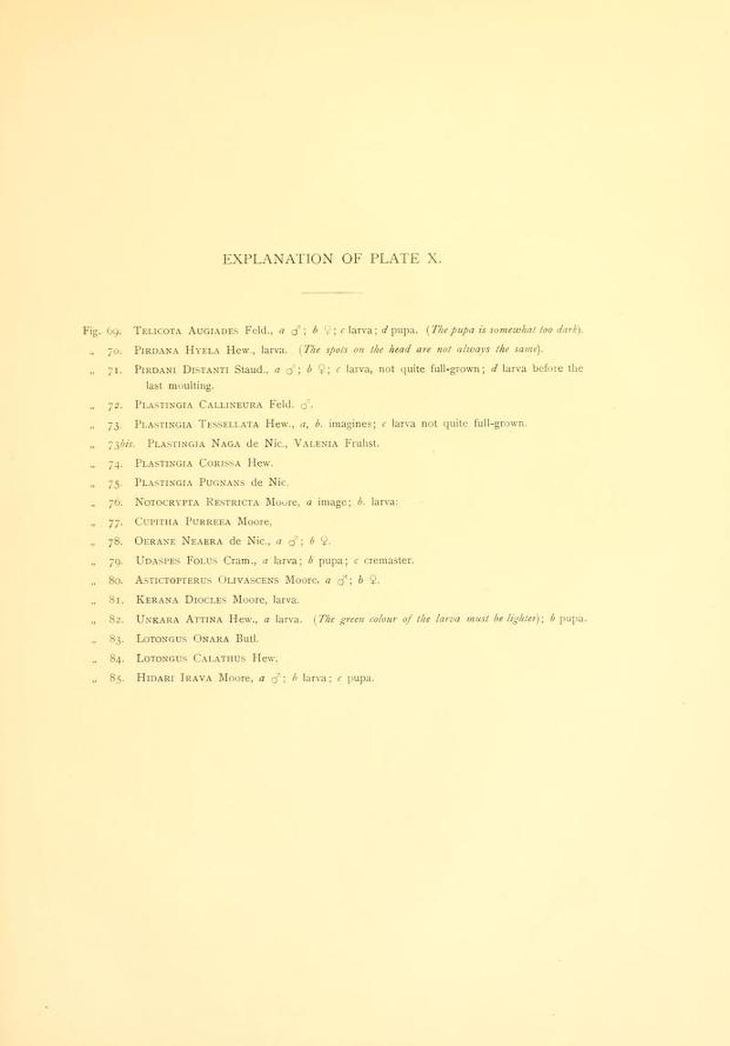 Piepers and Snellen Rhopalocera of Java Plate X Text