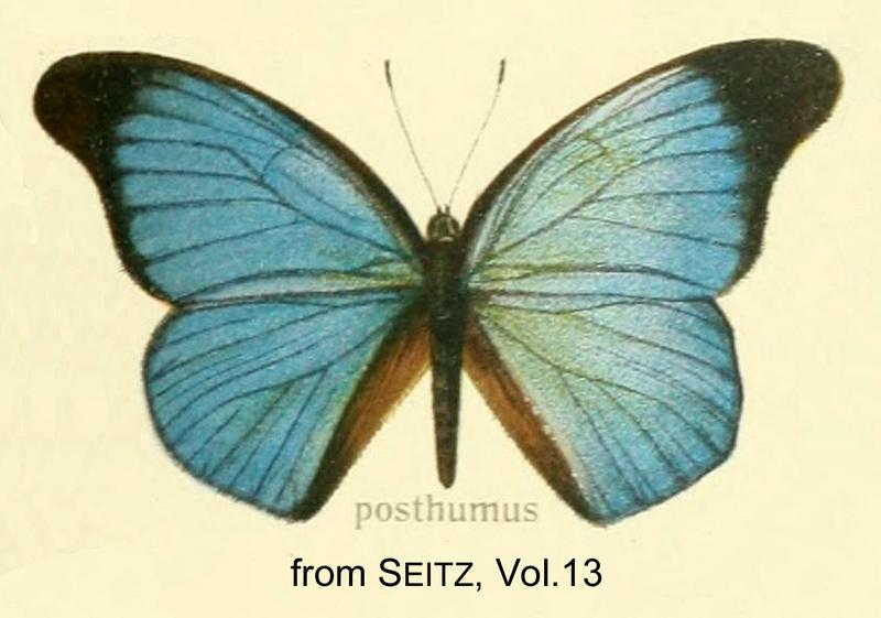 Posthumus inSeitzVol13