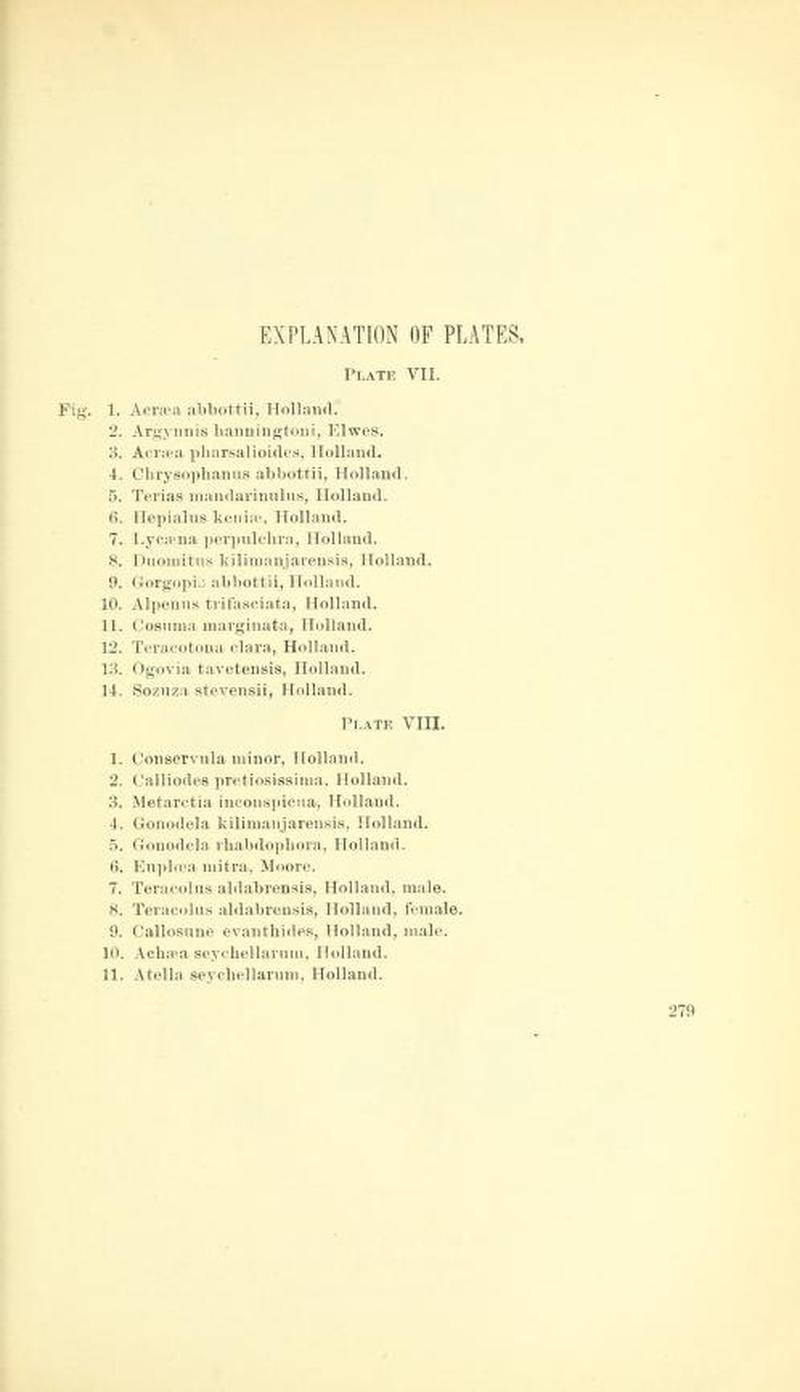 Proceedings UNM 1895 Holland East African Butterflies